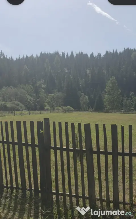 Teren Intravilan