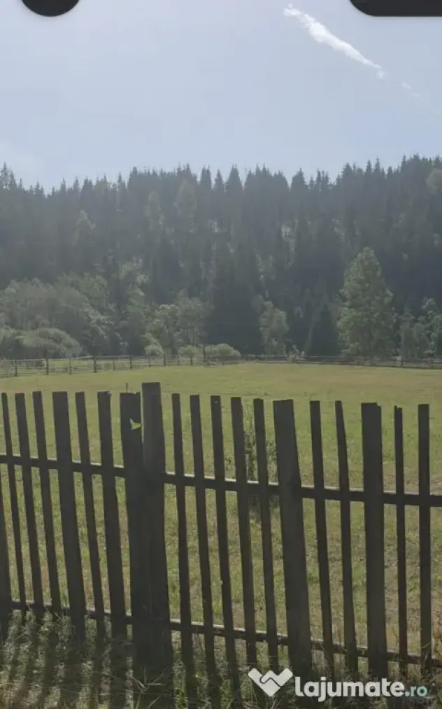Teren Intravilan