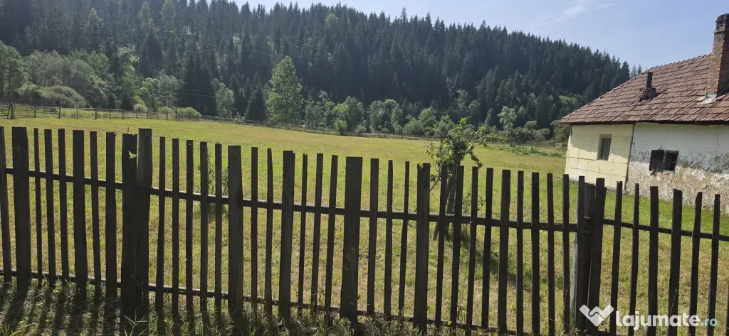 Teren Intravilan