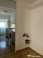 Baba novac alba iulia etaj 3
