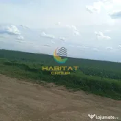 Teren ideal pentru dezvoltare rezidențială 10.000 mp, deschidere 44 m Utilitati 