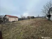 TEREN INTRAVILAN// PAULESTI 
