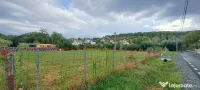 Teren 15,7 ari, front 40m, asfalt, utilități – Ghinzii – 9.500 €/ar 