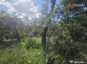 Casa individuala de inchiriat Zona Functionarilor | Cresa, A 