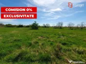 Comision 0% Teren intravilan 3000 mp in Padureni Jebel 