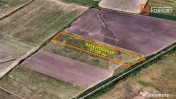 Teren extravilan 27.500 mp de vanzare in Timisoara-Zona Exte 