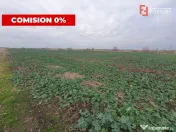 Comision 0% Teren industrial, 7 ha, intravilan, Calea Sagulu 