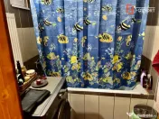 Casa individuala in Timisoara cu teren de 2863 MP - ID V2875