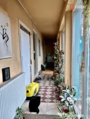 Casa individuala in Timisoara cu teren de 2863 MP - ID V2875