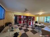 Apartament cu 4 camere de zona Pictor Grigorescu