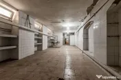 Spațiu comercial spre închiriere | Zona Boul Roșu – Palatul Steiner