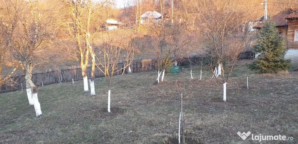Vanzare teren 7582 mp (livada, faneata) cu casa in Prahova, Sat Poiana Trestiei