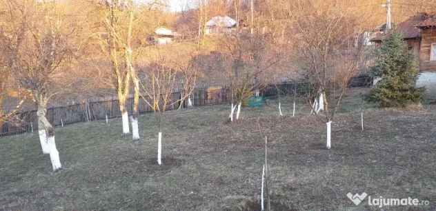 Vanzare teren 7582 mp (livada, faneata) cu casa in Prahova, Sat Poiana Trestiei