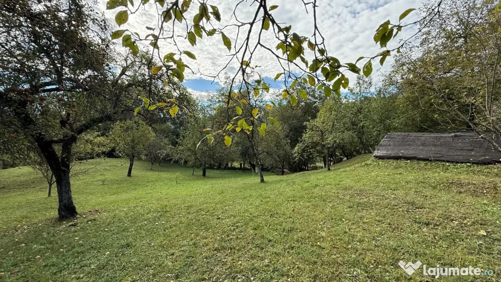Vanzare teren 7582 mp (livada, faneata) cu casa in Prahova, Sat Poiana Trestiei