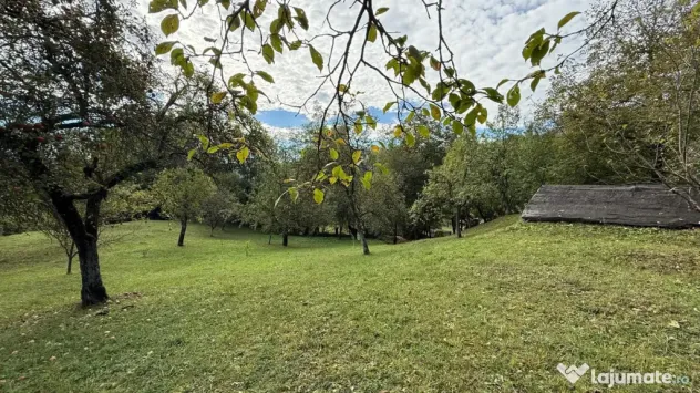 Vanzare teren 7582 mp (livada, faneata) cu casa in Prahova, Sat Poiana Trestiei