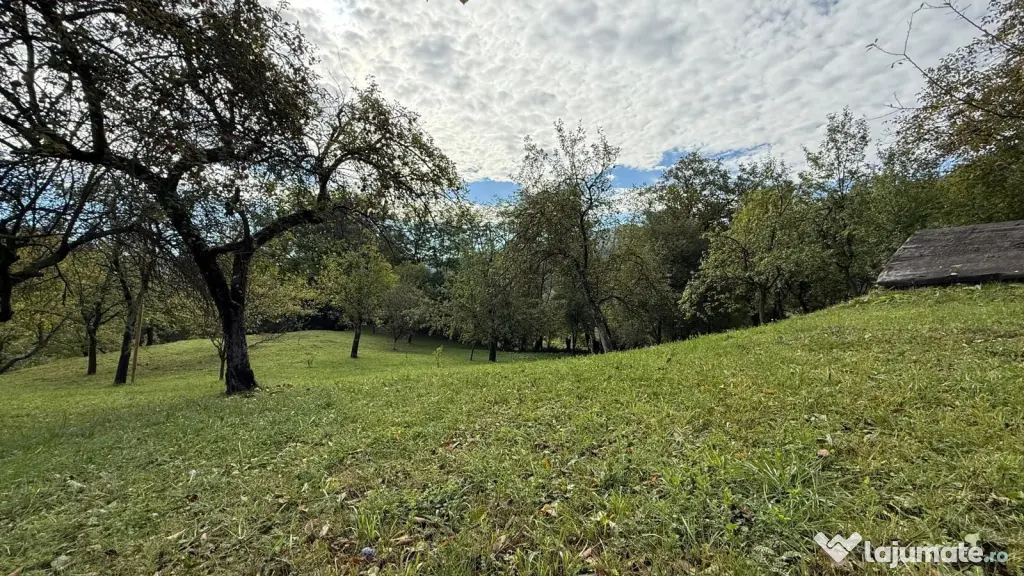 Vanzare teren 7582 mp (livada, faneata) cu casa in Prahova, Sat Poiana Trestiei