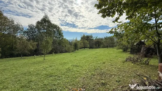Vanzare teren 7582 mp (livada, faneata) cu casa in Prahova, Sat Poiana Trestiei