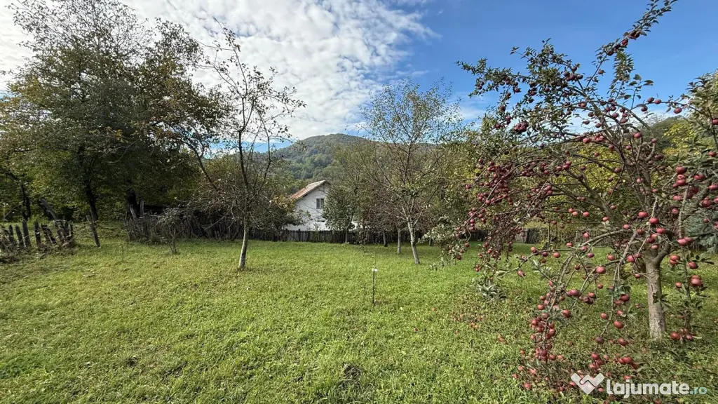 Vanzare teren 7582 mp (livada, faneata) cu casa in Prahova, Sat Poiana Trestiei