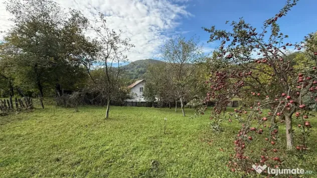 Vanzare teren 7582 mp (livada, faneata) cu casa in Prahova, Sat Poiana Trestiei