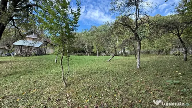 Vanzare teren 7582 mp (livada, faneata) cu casa in Prahova, Sat Poiana Trestiei