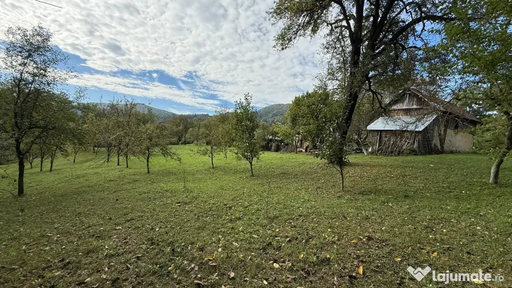 Vanzare teren 7582 mp (livada, faneata) cu casa in Prahova, Sat Poiana Trestiei