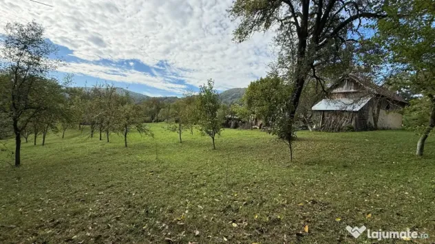 Vanzare teren 7582 mp (livada, faneata) cu casa in Prahova, Sat Poiana Trestiei