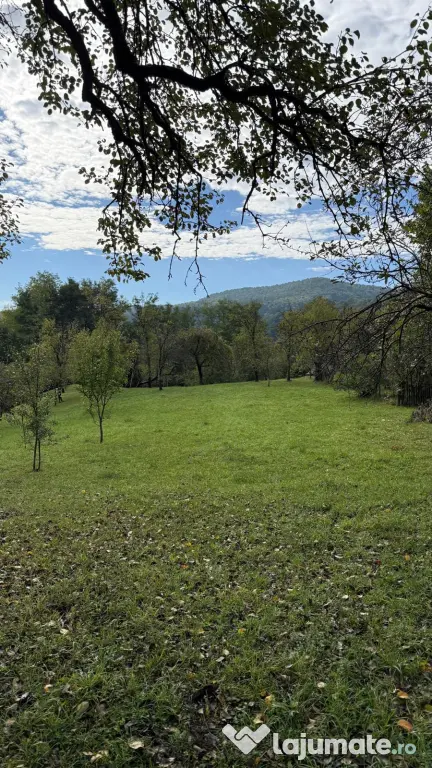 Vanzare teren 7582 mp (livada, faneata) cu casa in Prahova, Sat Poiana Trestiei