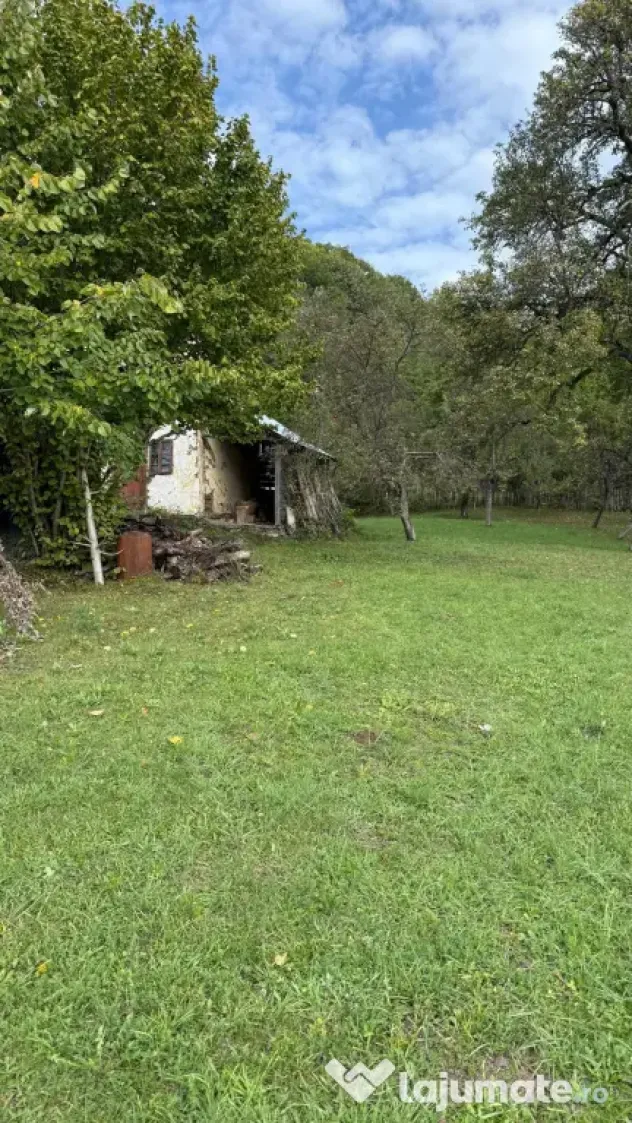 Vanzare teren 7582 mp (livada, faneata) cu casa in Prahova, Sat Poiana Trestiei