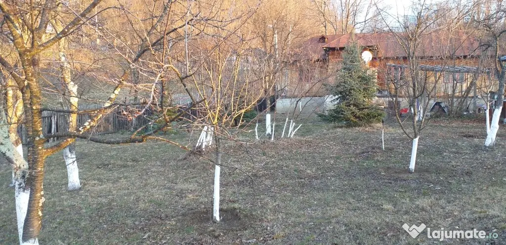 Vanzare teren 7582 mp (livada, faneata) cu casa in Prahova, Sat Poiana Trestiei