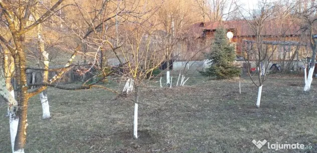 Vanzare teren 7582 mp (livada, faneata) cu casa in Prahova, Sat Poiana Trestiei