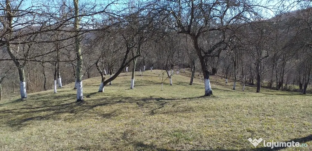 Vanzare teren 7582 mp (livada, faneata) cu casa in Prahova, Sat Poiana Trestiei