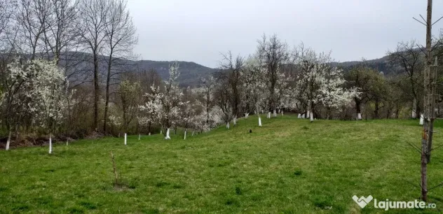 Vanzare teren 7582 mp (livada, faneata) cu casa in Prahova, Sat Poiana Trestiei