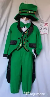 Costum Greiere (Licurici) pentru copii 4-5-6-7 ani 195 lei 