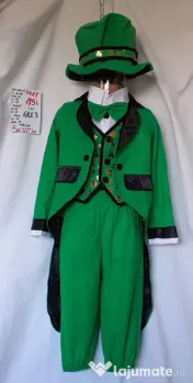 Costum Greiere (Licurici) pentru copii 4-5-6-7 ani 195 lei 