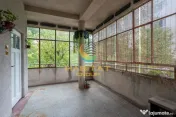 Casa individuala Pache Protopopescu 