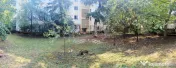 2 camere decomandat, zona Dacia 