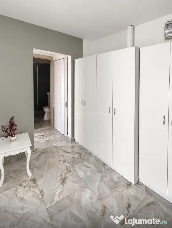2 camere-Herastrau Aviatiei nou, renovat - Bucuresti (Bucuresti-Ilfov)
