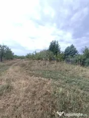TEREN PAULESTI//17211 MP// INTRAVILAN