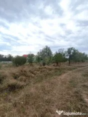 TEREN PAULESTI//17211 MP// INTRAVILAN