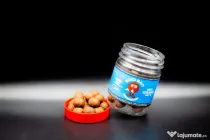 Boilies de carlig Dudi Baits Mister Dudi critic echilibrate 16mm