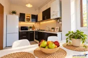 Casa cu 3 apartamente independente, locatie premium, aria Bi 