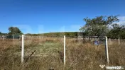 950 mp teren extravilan in zona Schullerwald 