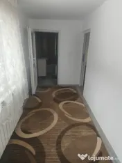 Casa de inchiriat + 5000mp teren, zona Horodnic de Jos, Rada 