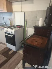Casa de inchiriat + 5000mp teren, zona Horodnic de Jos, Rada 