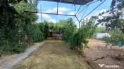 CASĂ – COȘOVENI | 70 MP UTILI | TEREN 2.331 MP 