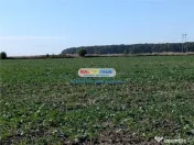 Oportunitate investitie: Teren intravilan 496 mp - Vadu Anei 