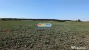 Oportunitate investitie: Teren intravilan 496 mp - Vadu Anei 