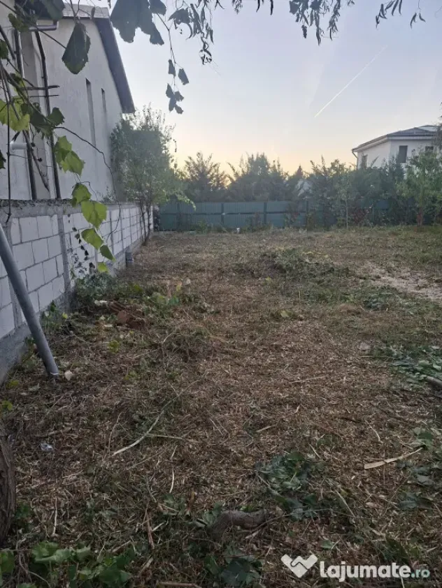 Teren intravilan superb 584 mp, des 20 ml, Chiajna, str Viil - Chiajna (Bucuresti-Ilfov)
