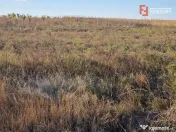 Teren extravilan de 3500 mp de vanzare in Remetea Mare