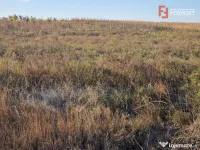 Teren extravilan de 3500 mp de vanzare in Remetea Mare 